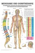 Ruediger anatomie mipo44lam gebraucht kaufen  Wird an jeden Ort in Deutschland