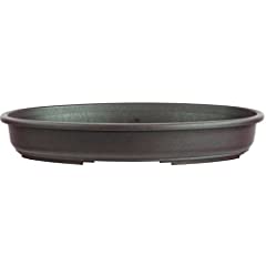 Bonsai pot 40x28x6cm dark brown oval plastic for sale  Delivered anywhere in UK