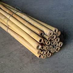 Canne bamboo bambù.tutori usato  Spedito ovunque in Italia 