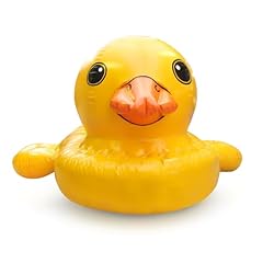 Airkraft wasserobjekt ente gebraucht kaufen  Wird an jeden Ort in Deutschland