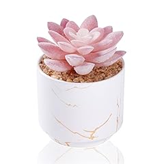 Zenida succulent artificial for sale  Delivered anywhere in USA 