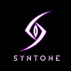 Syntone ep gebraucht kaufen  Wird an jeden Ort in Deutschland