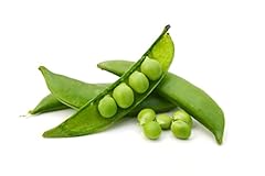 Vegetable plants peas for sale  Delivered anywhere in UK