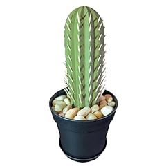 Cactus toothpick holder for sale  Delivered anywhere in USA 