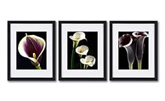 Calla lily wall for sale  Delivered anywhere in USA 