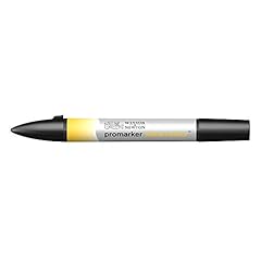 Winsor newton watercolour usato  Spedito ovunque in Italia 