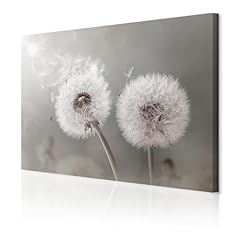 Decomonkey bilder pusteblume gebraucht kaufen  Wird an jeden Ort in Deutschland