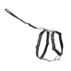 Petsafe harness comfortable for sale  Delivered anywhere in USA 