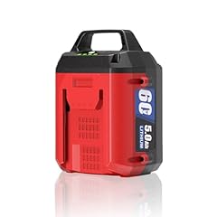 Tenhutt 60v 5.0ah for sale  Delivered anywhere in USA 
