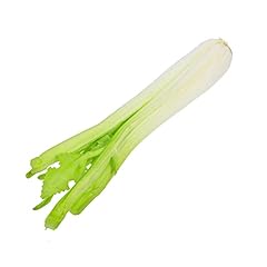 Bestoyard simulated celery for sale  Delivered anywhere in USA 