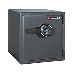 Sentrysafe fireproof money for sale  Delivered anywhere in USA 
