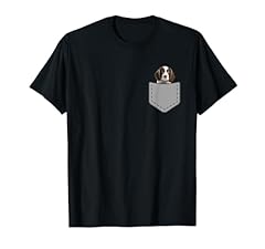 English springer spaniel usato  Spedito ovunque in Italia 