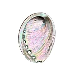 Large abalone shell for sale  Delivered anywhere in USA 