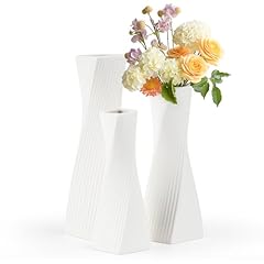 Foiiliio lot vase d'occasion  Livré partout en France