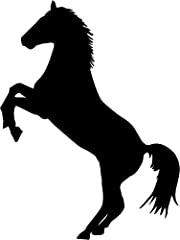 Lightningsigns horse vinyl for sale  Delivered anywhere in UK
