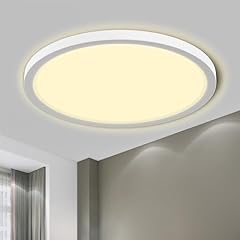 Lqwell deckenleuchte led gebraucht kaufen  Wird an jeden Ort in Deutschland
