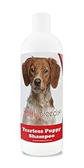 Healthy breeds brittany for sale  Delivered anywhere in USA 