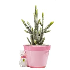 Flower pot spring for sale  Delivered anywhere in USA 