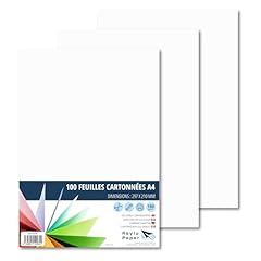 Raylu paper papier d'occasion  Livré partout en France