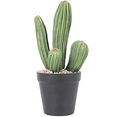 Huisezing artificial cactus for sale  Delivered anywhere in USA 