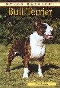 Bull terrier. d'occasion  Livré partout en France