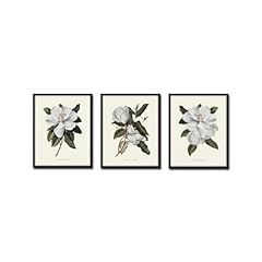 Magnolia grandiflora print for sale  Delivered anywhere in USA 