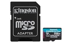 Kingston 256gb canvas for sale  Delivered anywhere in USA 