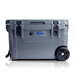 Blue coolers ice for sale  Delivered anywhere in USA 