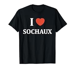 Ville sochaux ville d'occasion  Livré partout en France