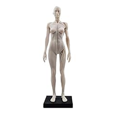 Mike dental female for sale  Delivered anywhere in UK