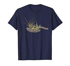Air plants driftwood for sale  Delivered anywhere in USA 