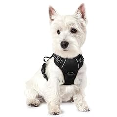 Rabbitgoo dog harness for sale  Delivered anywhere in USA 