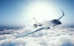 Wooden puzzle learjet for sale  Delivered anywhere in USA 