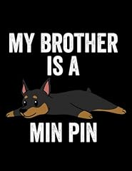 Miniature pinscher brother for sale  Delivered anywhere in UK