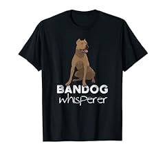 Carino bandog regalo usato  Spedito ovunque in Italia 