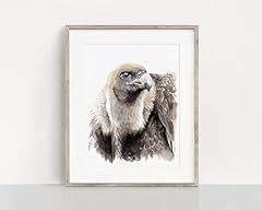 Print vulture watercolour for sale  Delivered anywhere in USA 