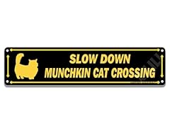 Xilili munchkin cat for sale  Delivered anywhere in USA 