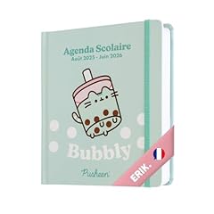 Grupo erik agenda d'occasion  Livré partout en France