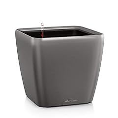 Lechuza pot quadro d'occasion  Livré partout en France