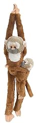 peluche singe 40 cm d'occasion  Livré partout en France