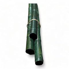 Pack bamboo sticks for sale  Delivered anywhere in USA 