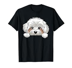 Cute maltipoo peeking for sale  Delivered anywhere in USA 