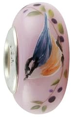 Fenton nuthatch berries for sale  Delivered anywhere in USA 