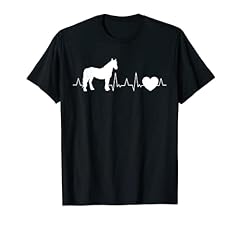Welsh pony heartbeat for sale  Delivered anywhere in USA 