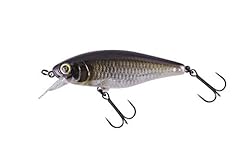 Chubble scale minnow for sale  Delivered anywhere in USA 