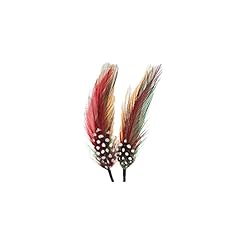 Bird feathers premium for sale  Delivered anywhere in USA 