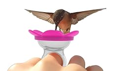 Zummr hummingbird ring for sale  Delivered anywhere in USA 