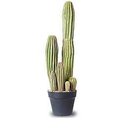 Anthouseplant artificial cactu for sale  Delivered anywhere in USA 