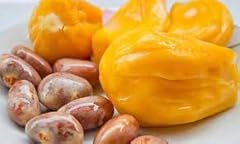 Giant jackfruit plant for sale  Delivered anywhere in USA 