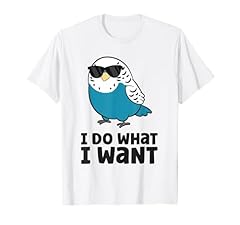 Parakeet budgie bird for sale  Delivered anywhere in USA 